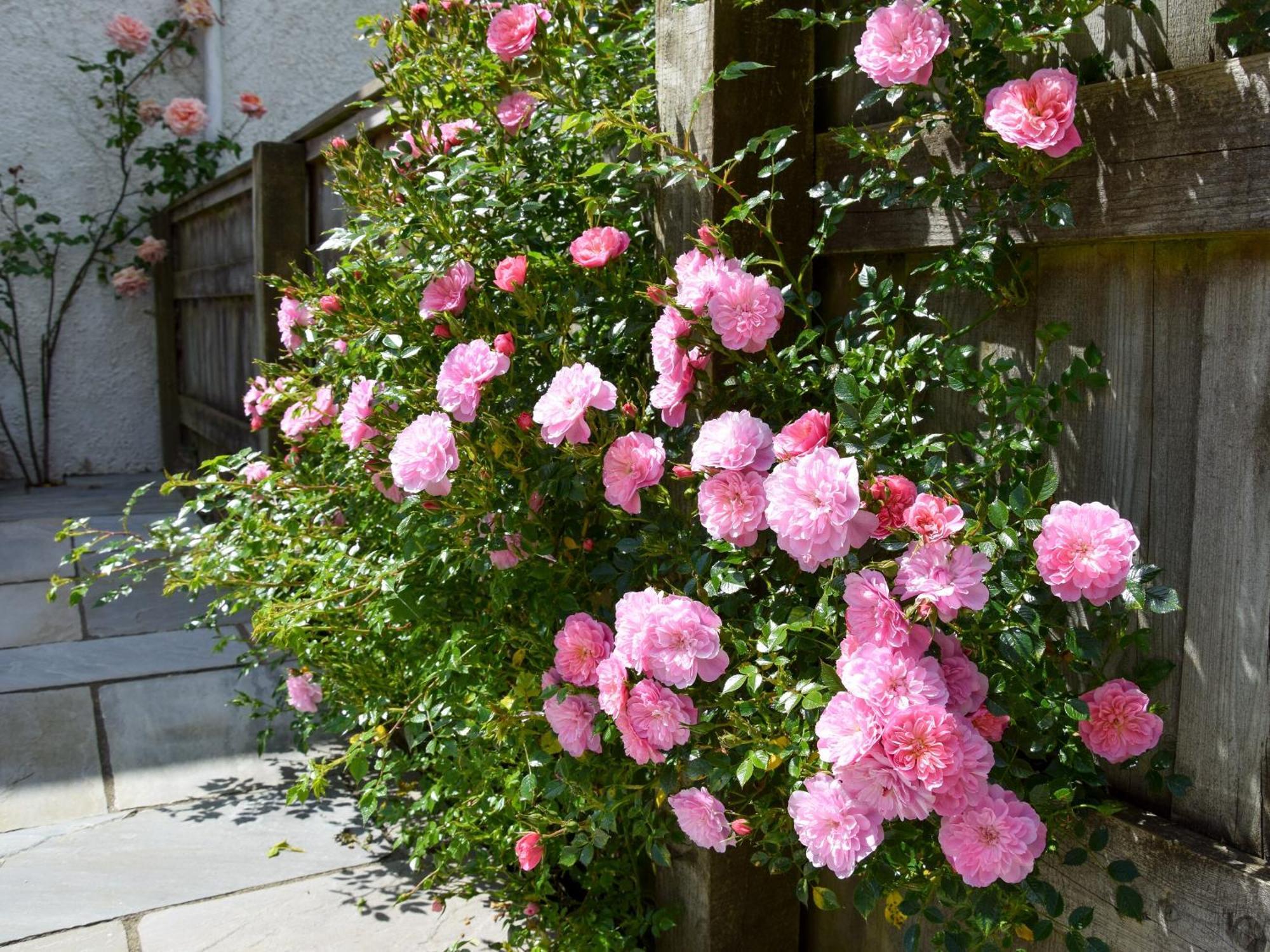 Sweet Briar - 8234 Vila Bridport Exterior foto